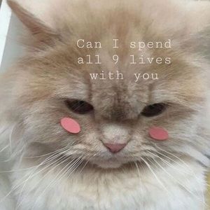 Meet your Posher, Jess